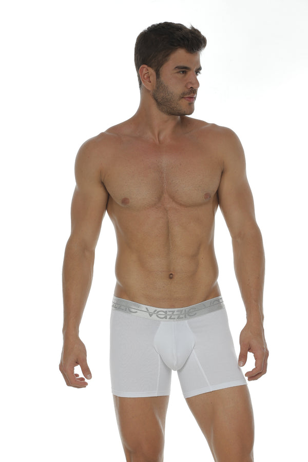Encuentra aquí : Boxers / Ropa interior para hombre  de algodón para hombre que son infaltables en nuestro armario. Inspirados en las tendencia clásica de hoy,fabricadas con algodón el cual te brinda una suavidad al tacto y frescura insuperable.  Ropa interior / Boxer para hombre al por mayor / distribuidores. VAZZIC