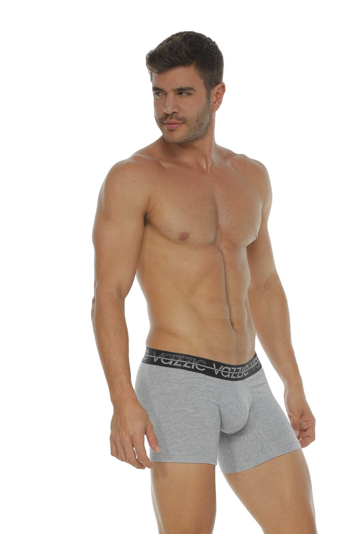 Encuentra aquí : Boxers / Ropa interior para hombre  de algodón para hombre que son infaltables en nuestro armario. Inspirados en las tendencia clásica de hoy,fabricadas con algodón el cual te brinda una suavidad al tacto y frescura insuperable.  Ropa interior / Boxer para hombre al por mayor / distribuidores. VAZZIC